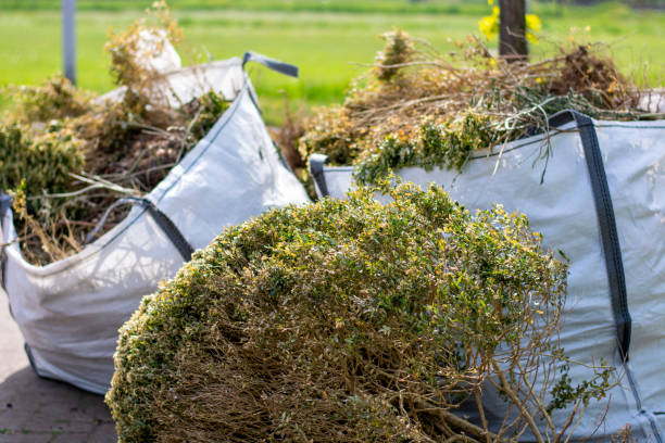 Yard Cleanup Services in Laurel, MS